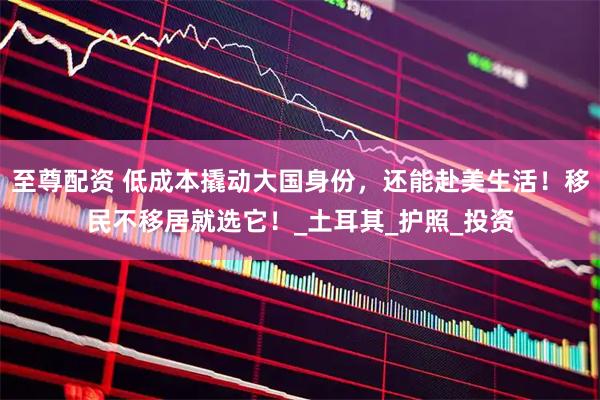至尊配资 低成本撬动大国身份，还能赴美生活！移民不移居就选它！_土耳其_护照_投资