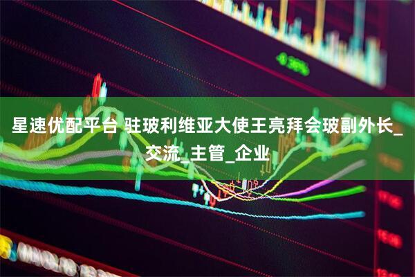 星速优配平台 驻玻利维亚大使王亮拜会玻副外长_交流_主管_企业